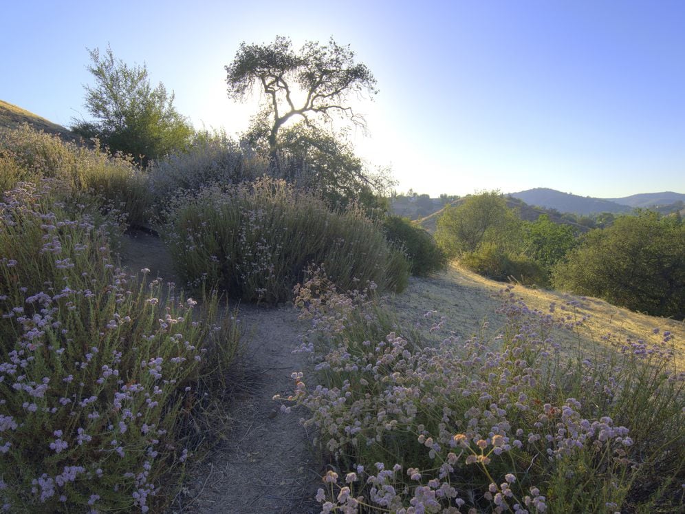 Hiking Trail