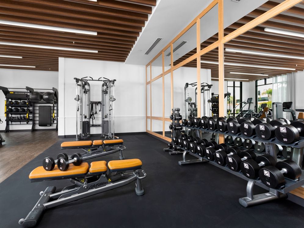 State-of-the-art fitness center with strength equipment