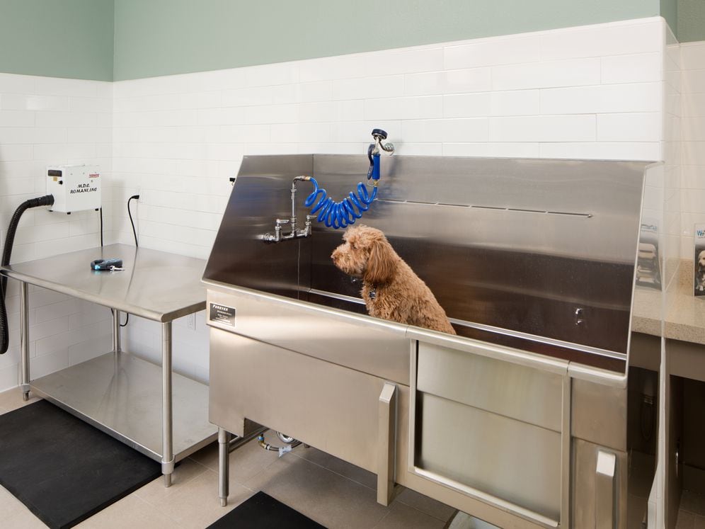 WAG pet spa