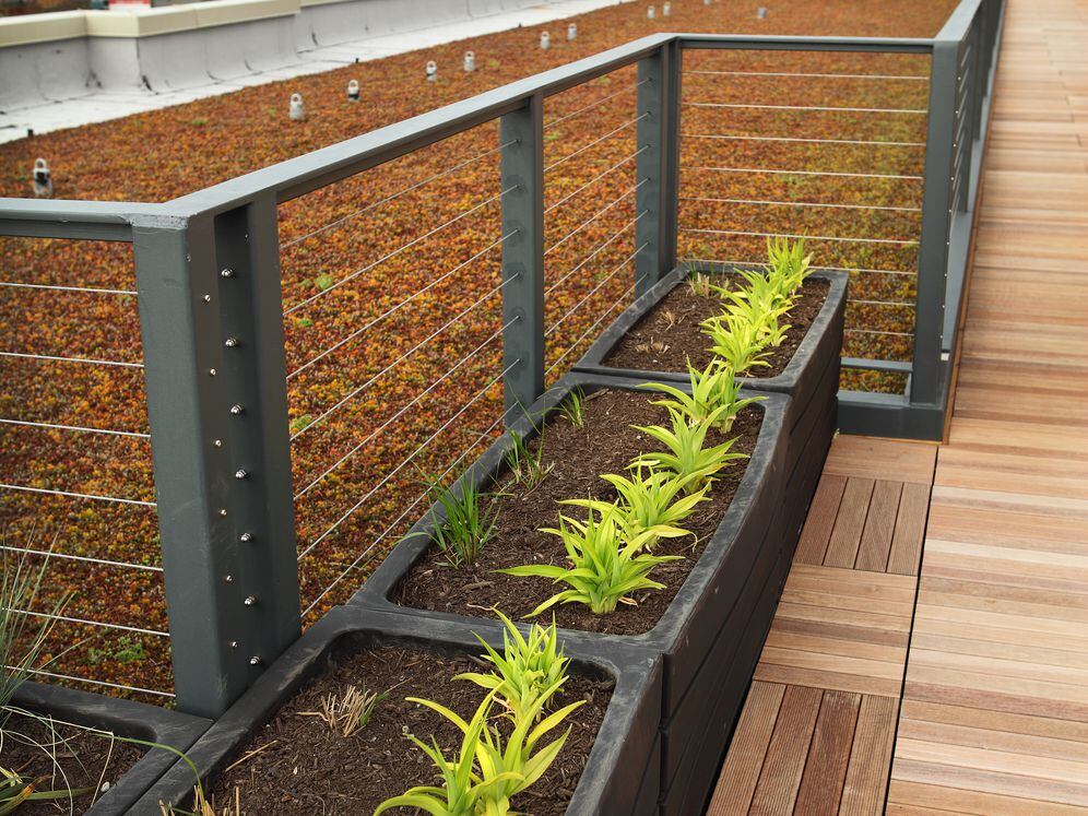 Green Roof