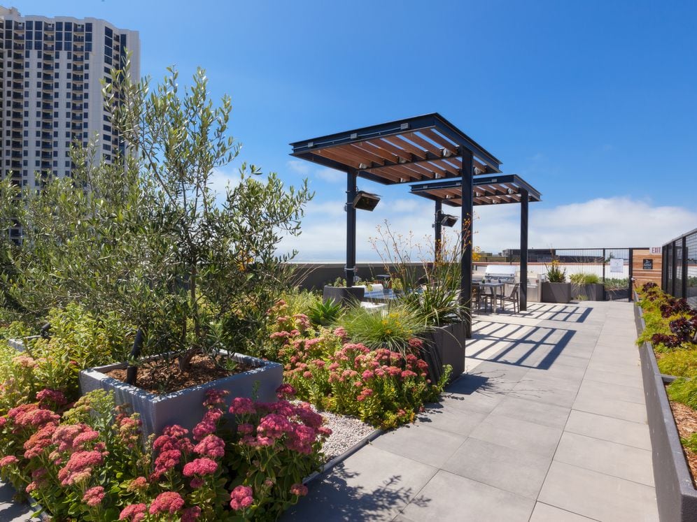 Rooftop Lounge