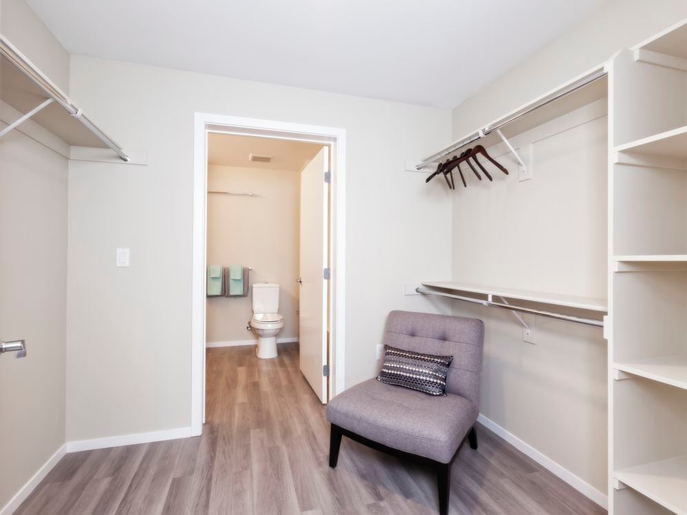 Spacious, walk-in closet