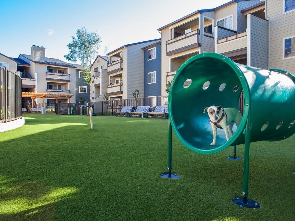 WAG dog park