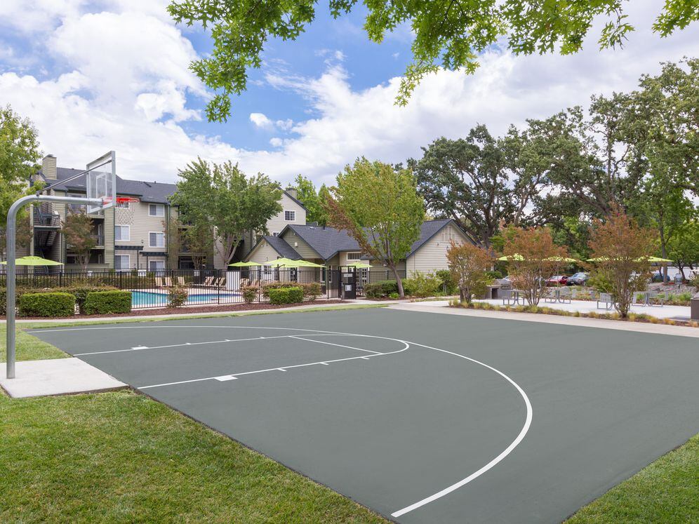 Basketball Court