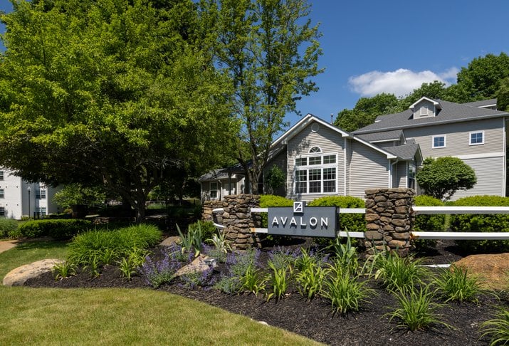 Avalon at Lexington exterior image