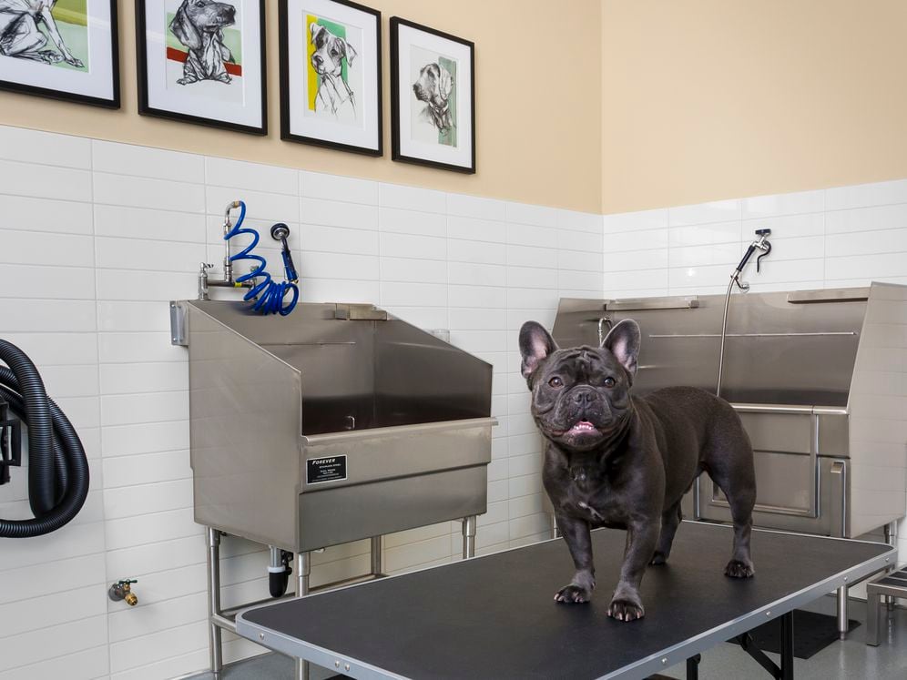 WAG Pet Spa