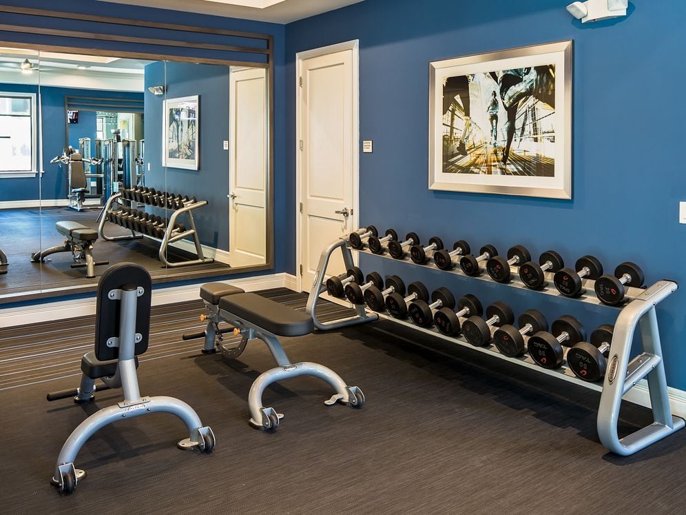 Fitness center with cardio and strength equipment