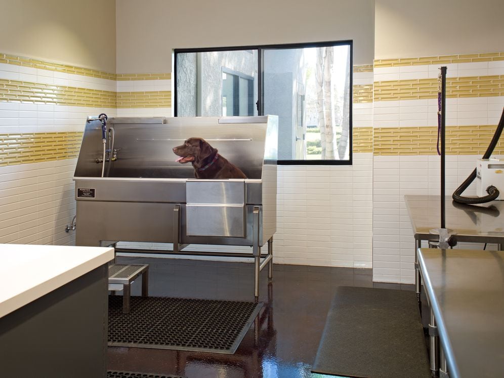 WAG Pet Spa