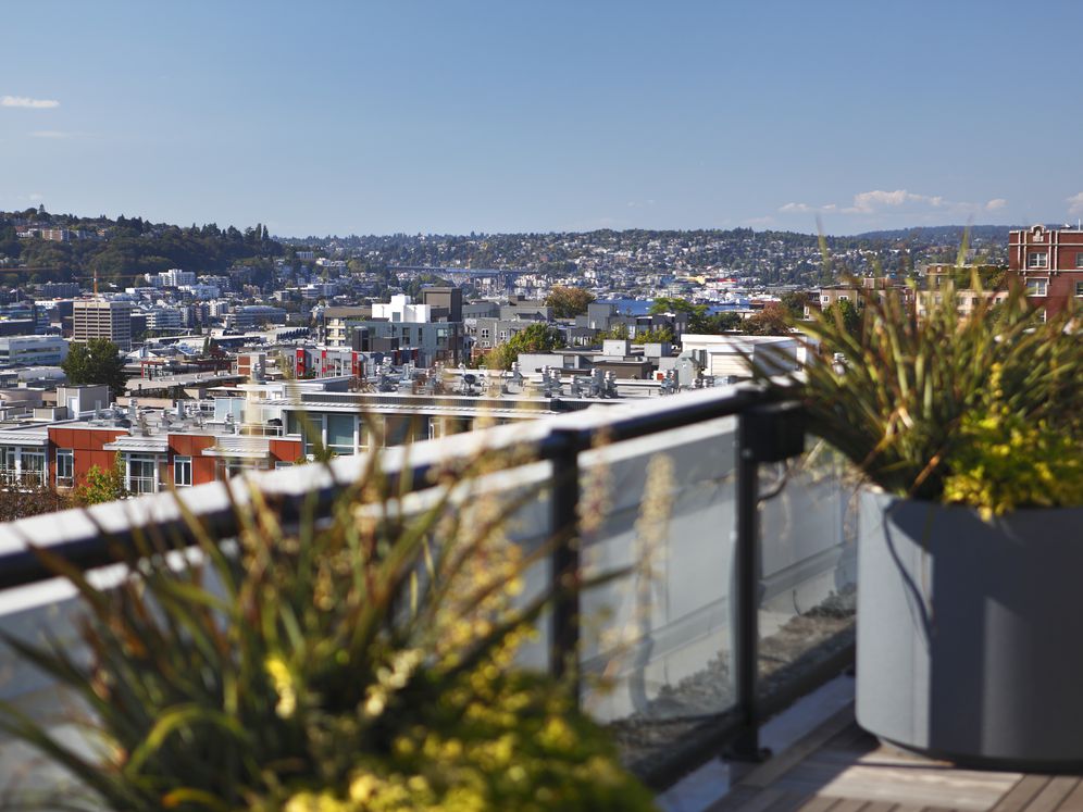 Views from Rooftop Terrace