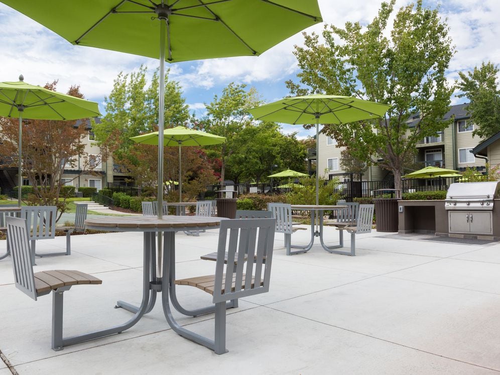 Barbecue Grills and Picnic Area