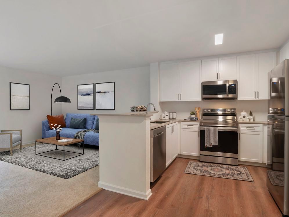 Kitchen and living room