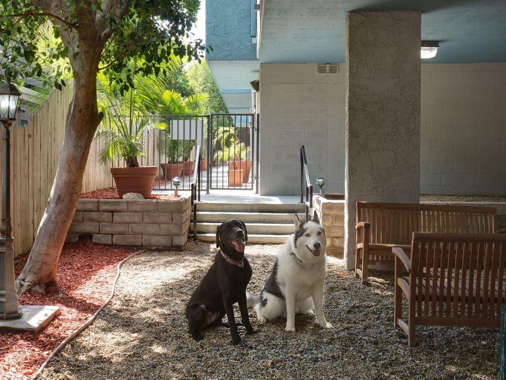 WAG Pet Park
