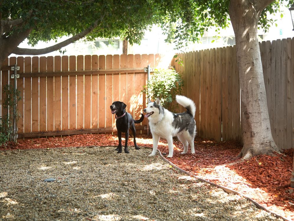 WAG Pet Park