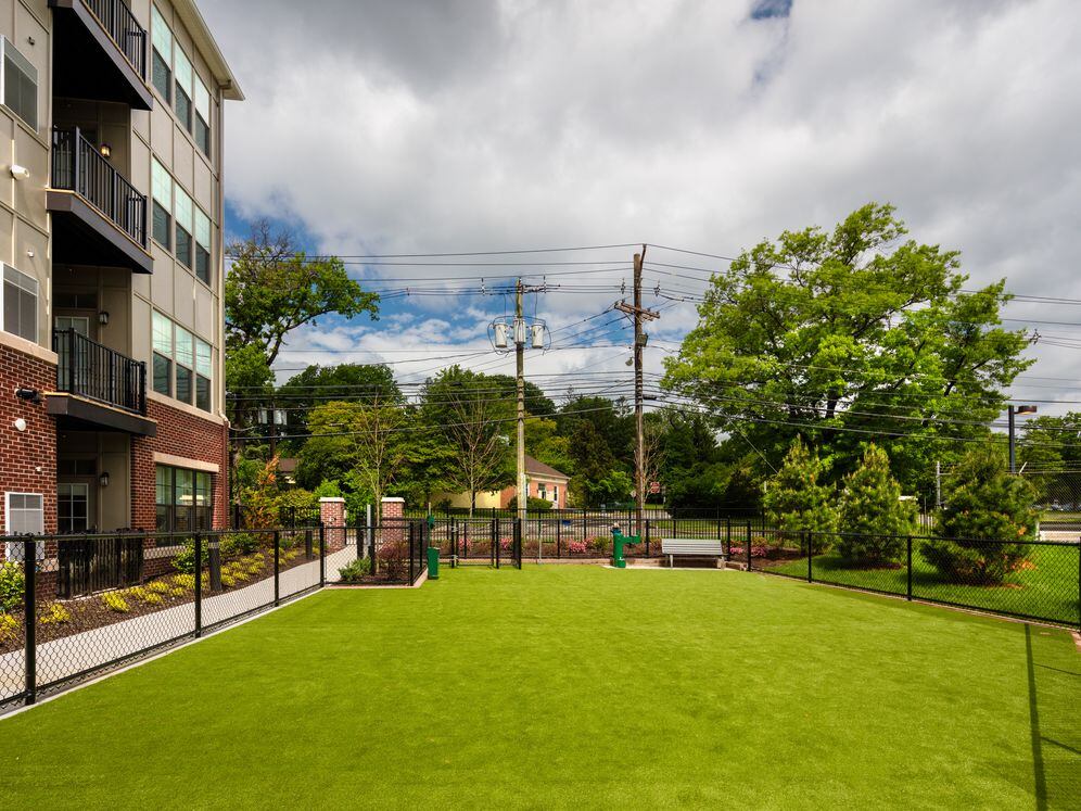 WAG pet park