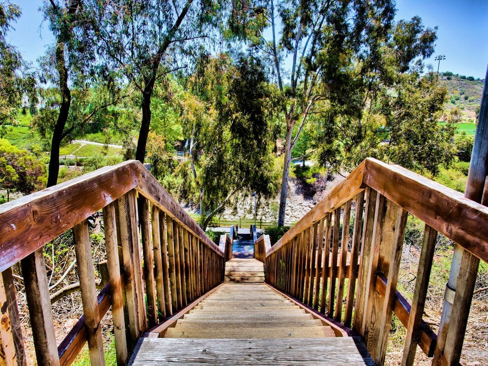 Nature Trail