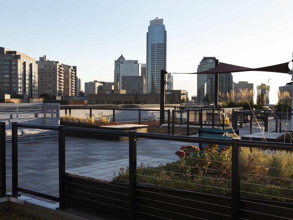 Views from Rooftop Terrace
