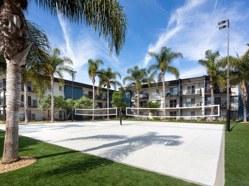 Volleyball court
