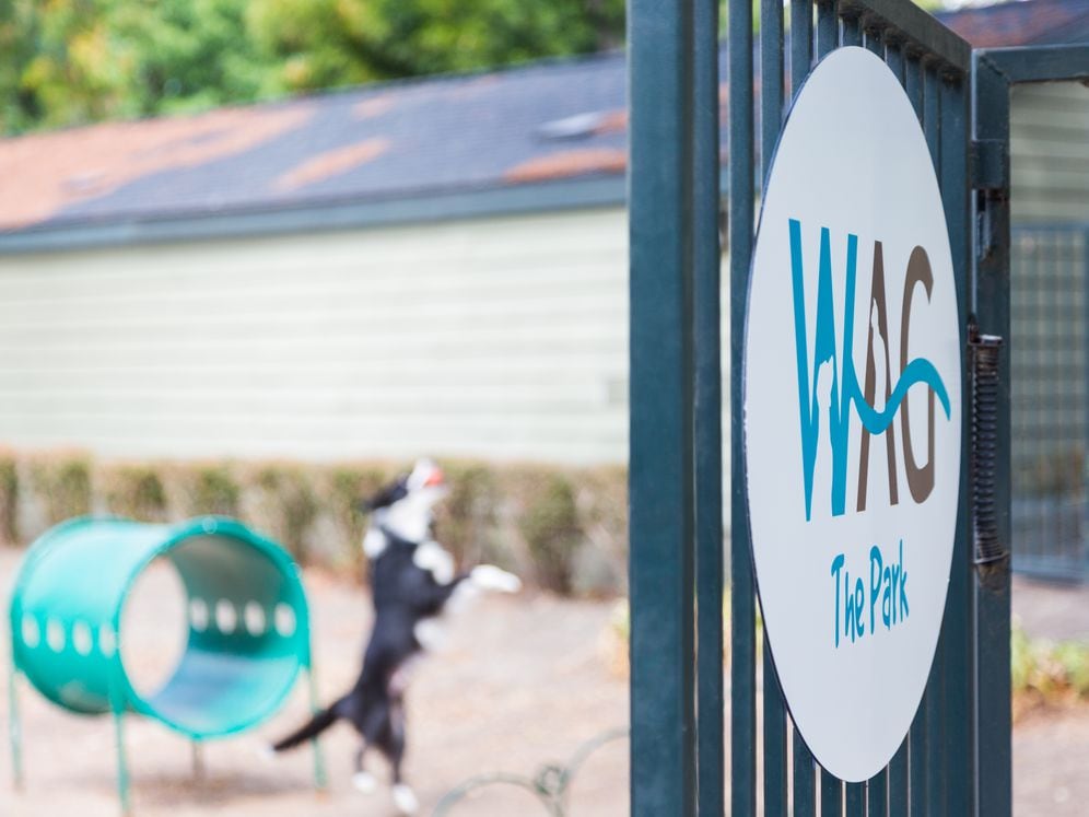 WAG the Dog Park