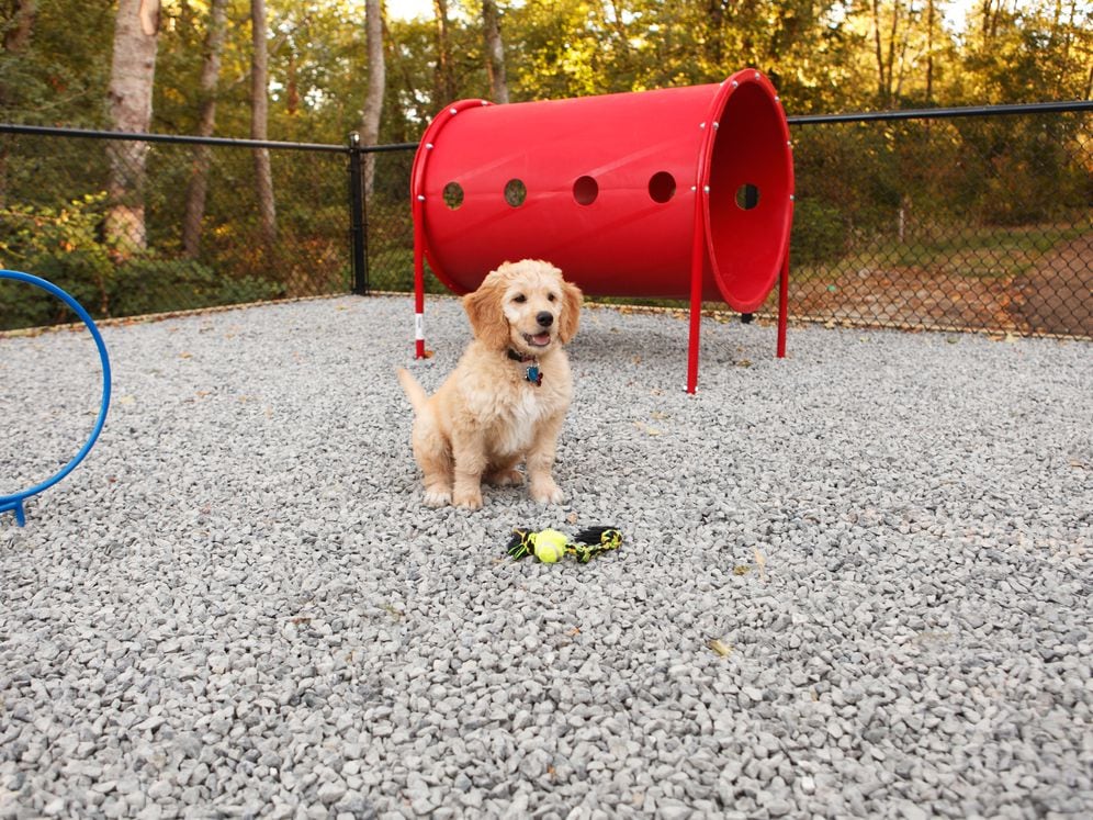 WAG Pet Park