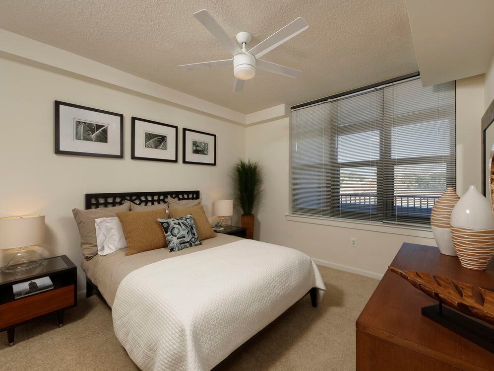 Bedroom with carpet