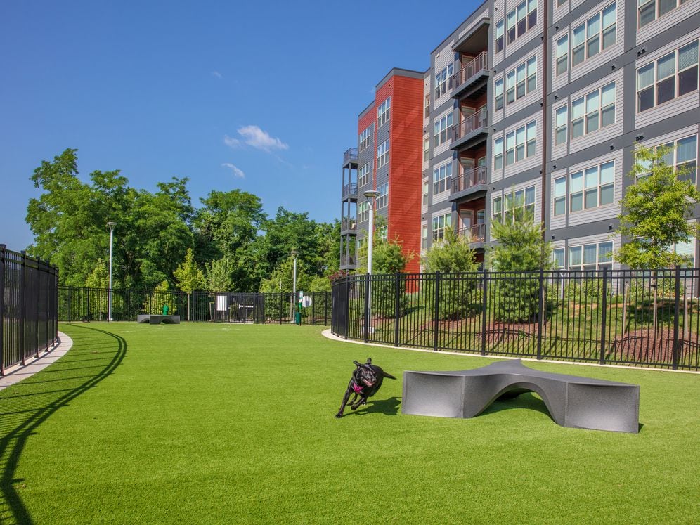 WAG Pet Park