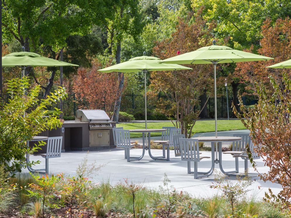 Barbecue Grills and Picnic Area
