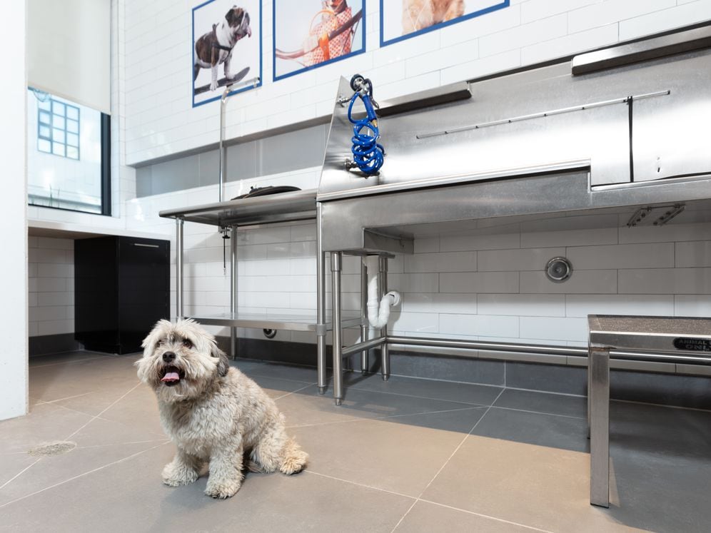 WAG Pet Spa