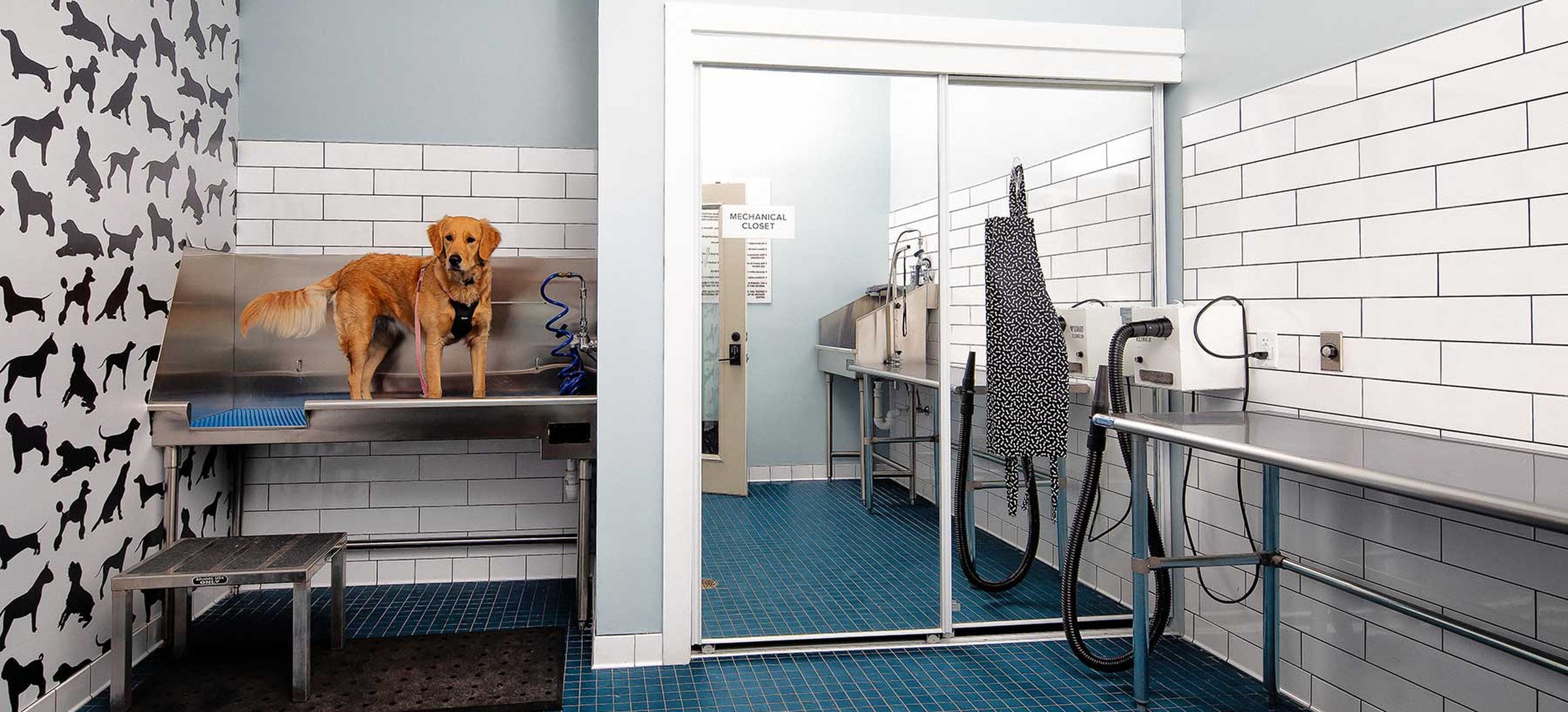 Pet-friendly community with WAG Pet Spa