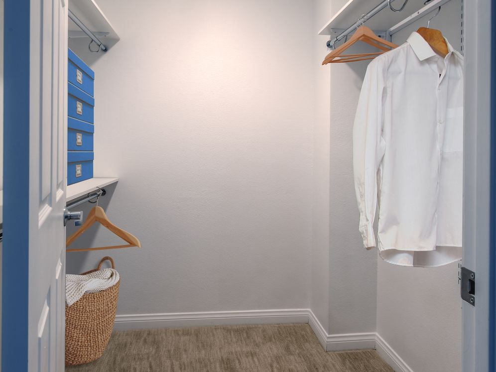 Spacious Walk-in Closets