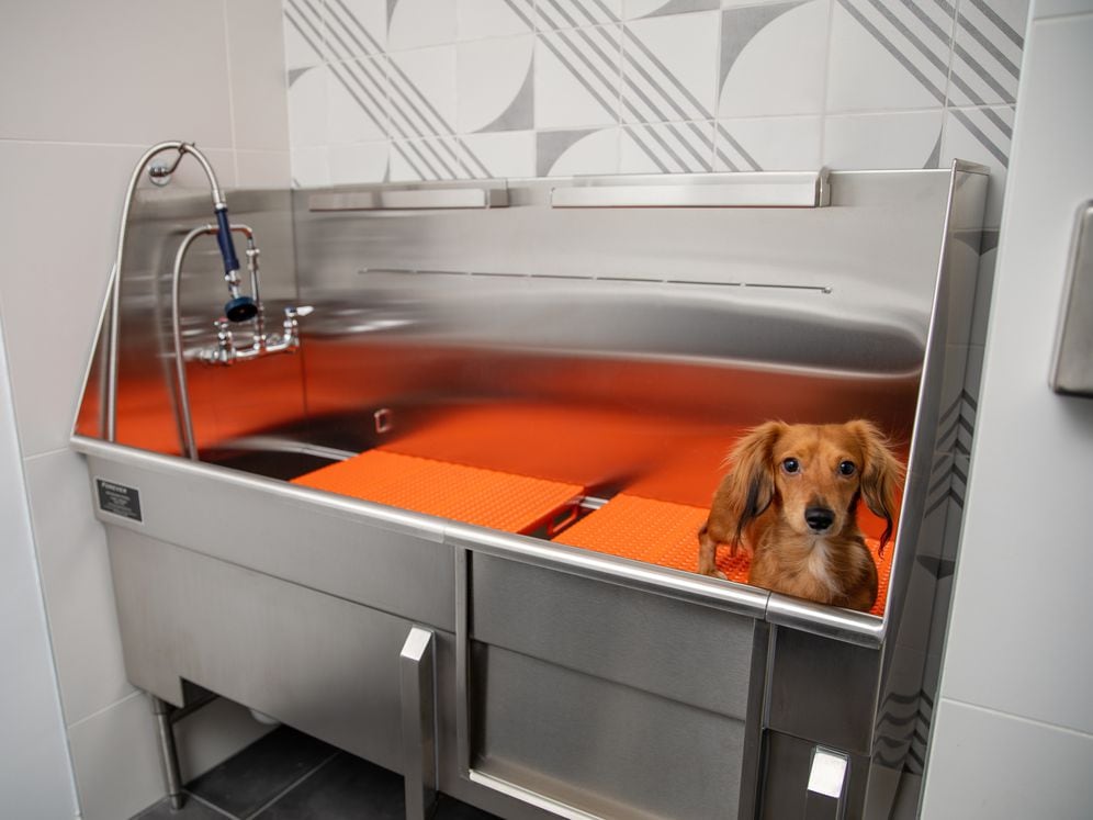 WAG Pet Spa