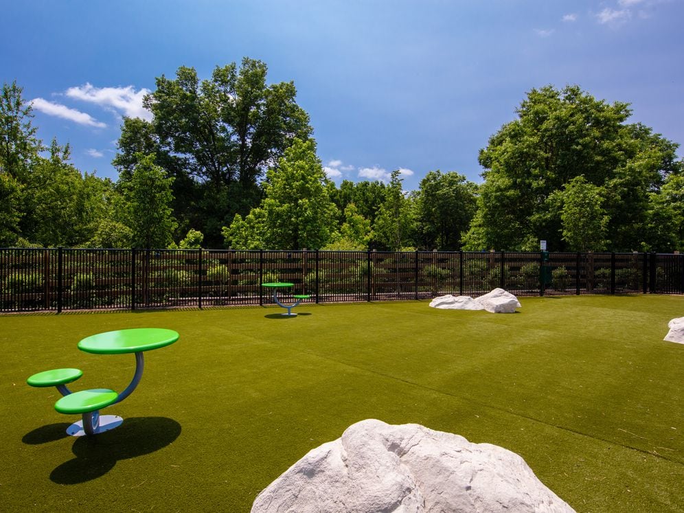 WAG pet park