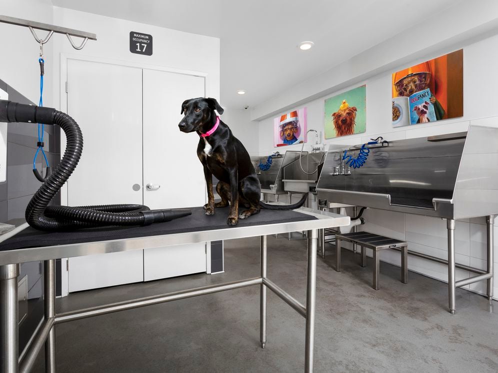 WAG Pet Spa