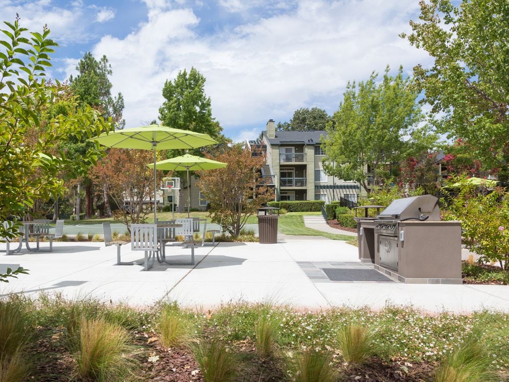 Barbecue Grills and Picnic Area