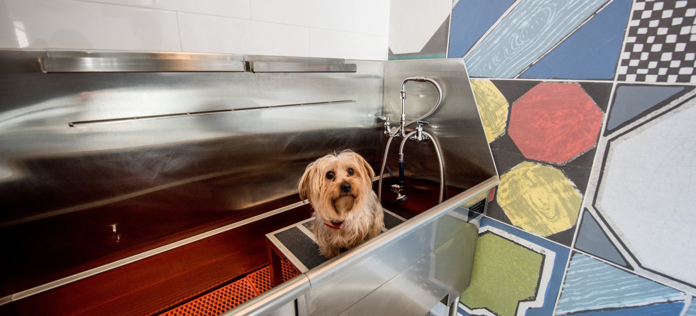WAG Pet Spa bathing station