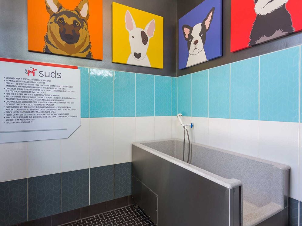 WAG pet spa