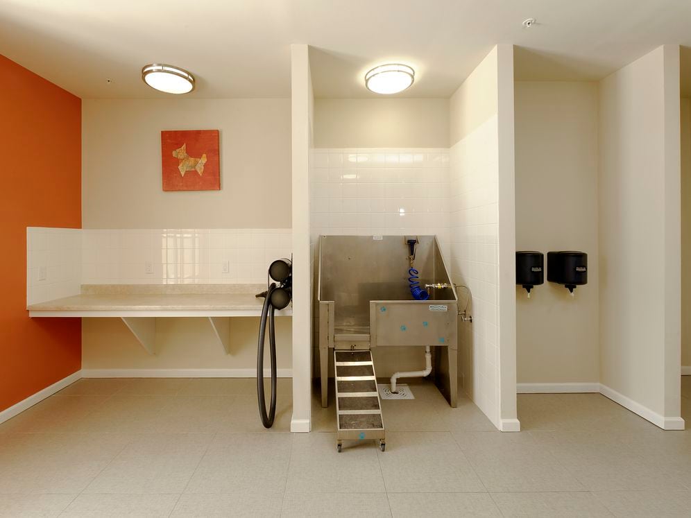 WAG pet spa with bathing area and grooming equipment