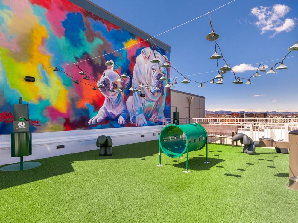 Rooftop WAG dog run
